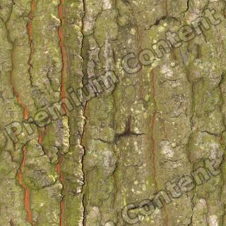 Seamless Bark 0023